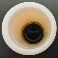 Digestion Result with Increased Sample Mass Digestion Result with Increased Sample Mass