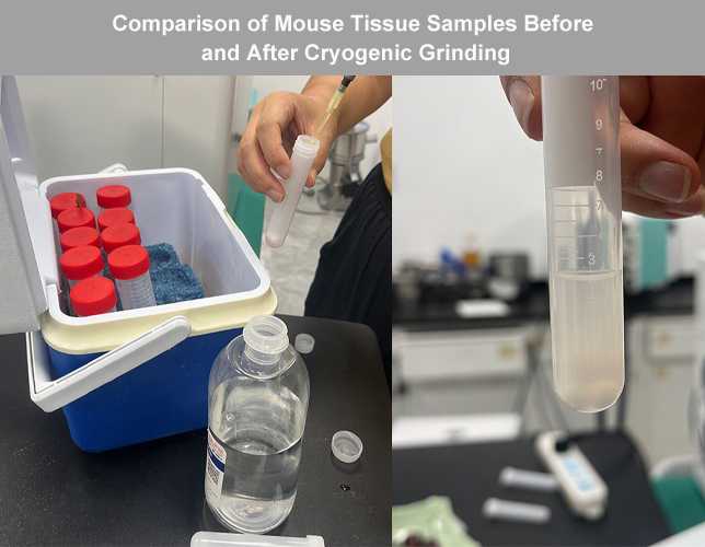 Comparison of Mouse Tissue Samples Before and After Cryogenic Grinding